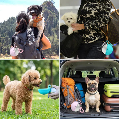 Aquaflow Köpek Su Şişesi Ve Kabı